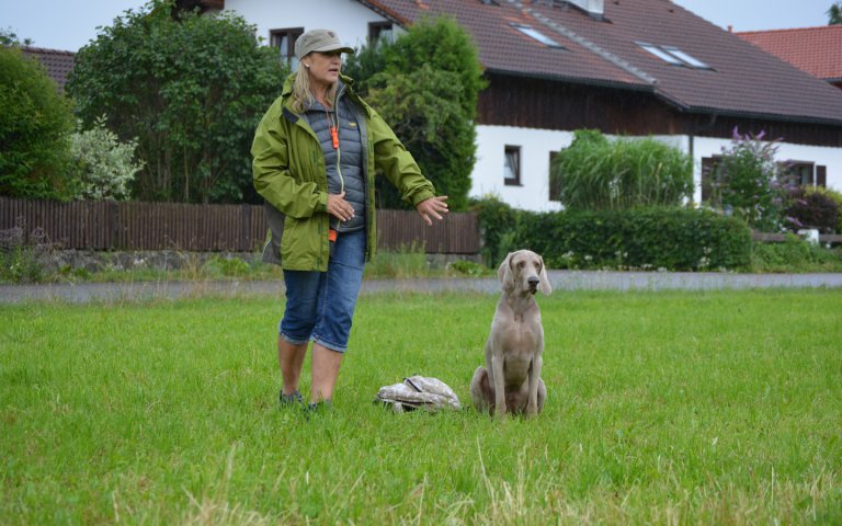 Impressionen
